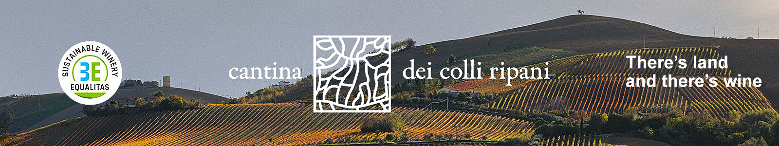 slide 02 Cantina dei Colli Ripani slide 02 Cantina dei Colli Ripani