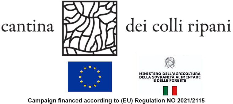 Cantina Colli Ripani