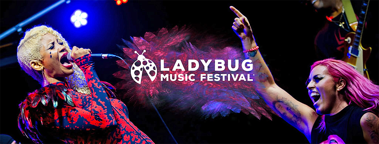 Ladybug Film Festival banner
