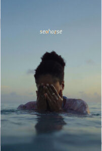 Seahorse 860x1280