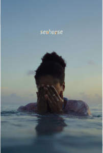 Seahorse 860x128