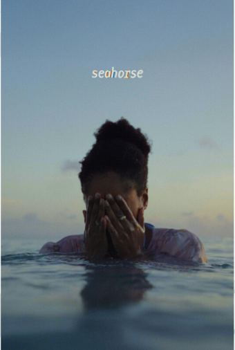 Seahorse 860x128